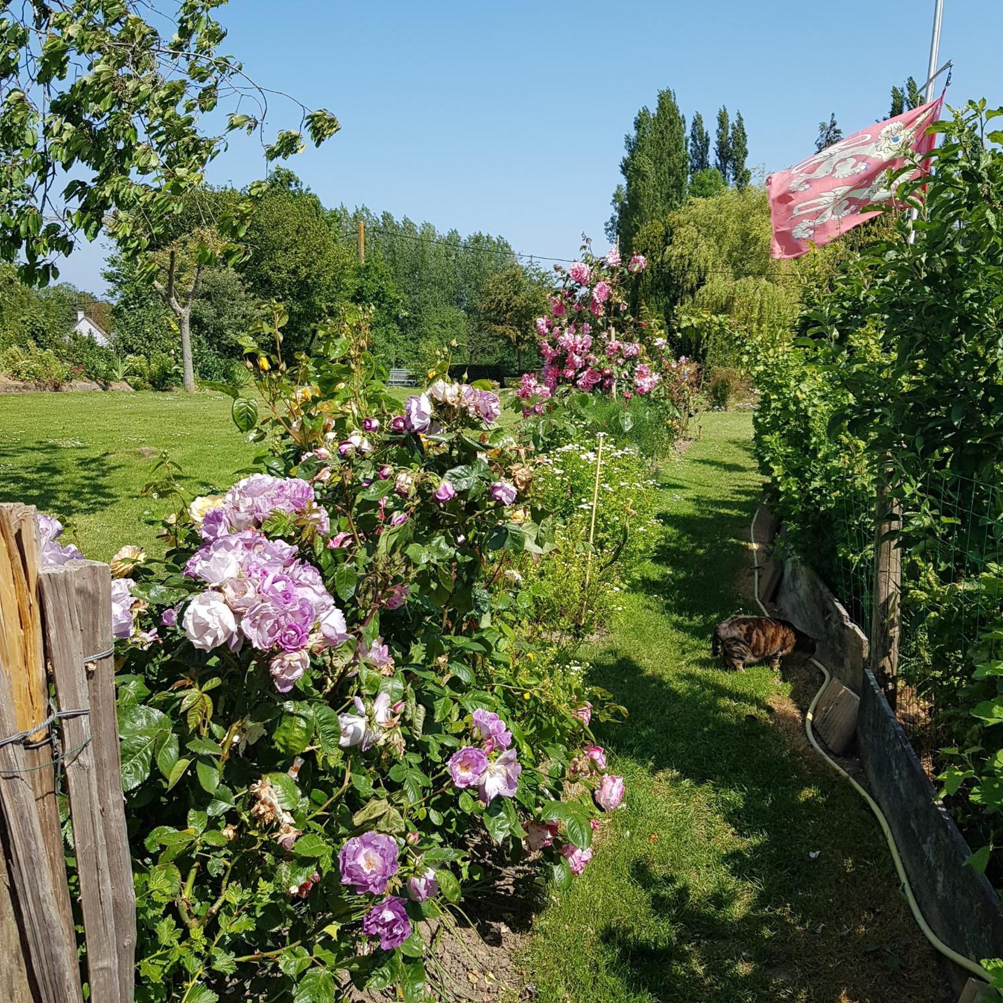 Bed and Breakfast Le Jardin Кудвилль Экстерьер фото